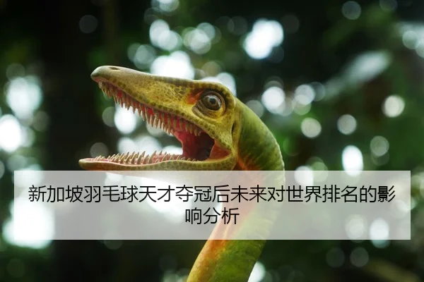 新加坡羽毛球天才夺冠后未来对世界排名的影响分析